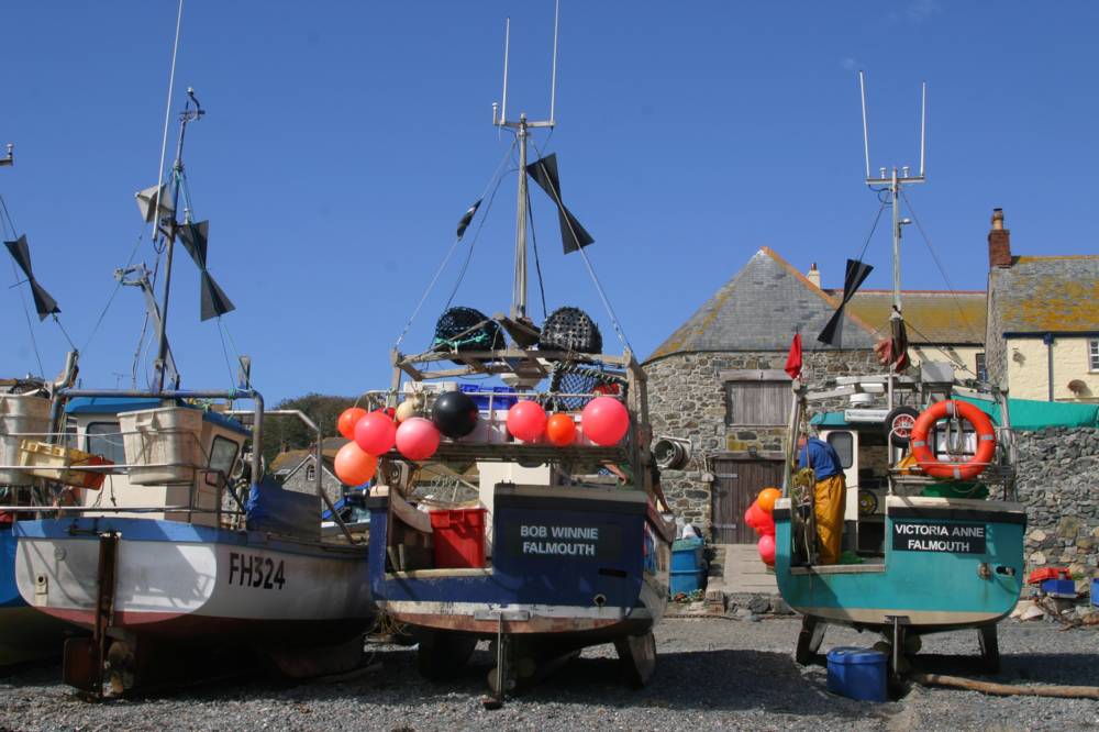 Cadgwith Mike Dodman