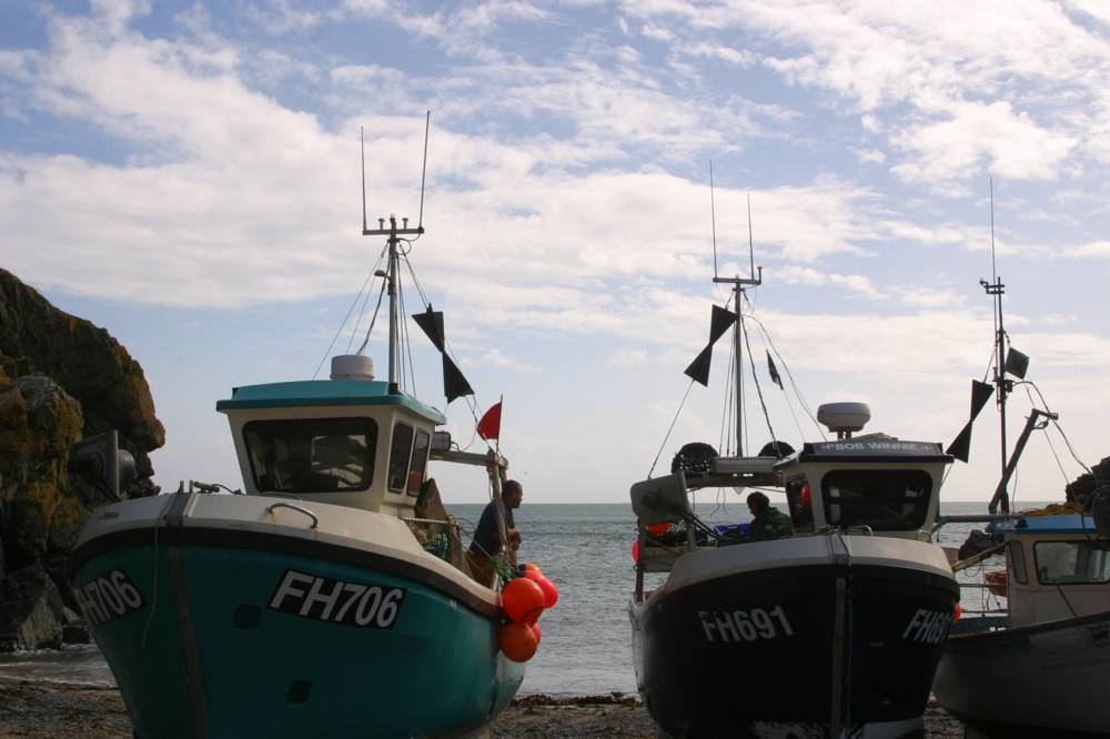 Cadgwith Mike Dodman