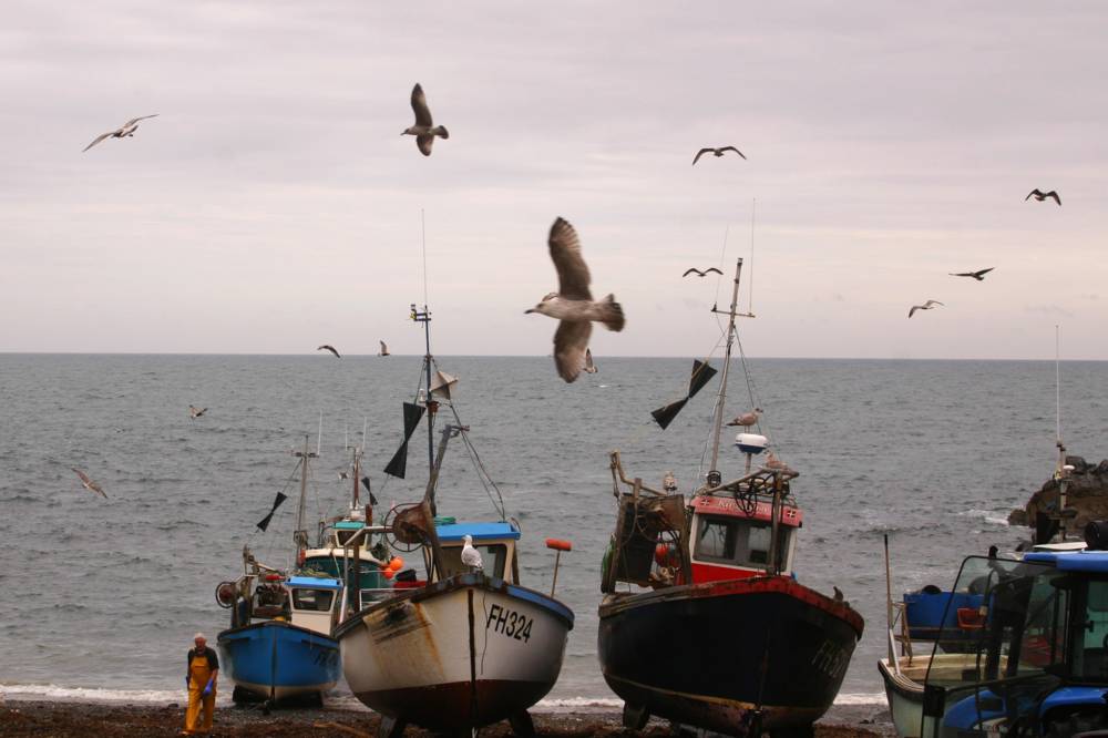 Cadgwith Mike Dodman