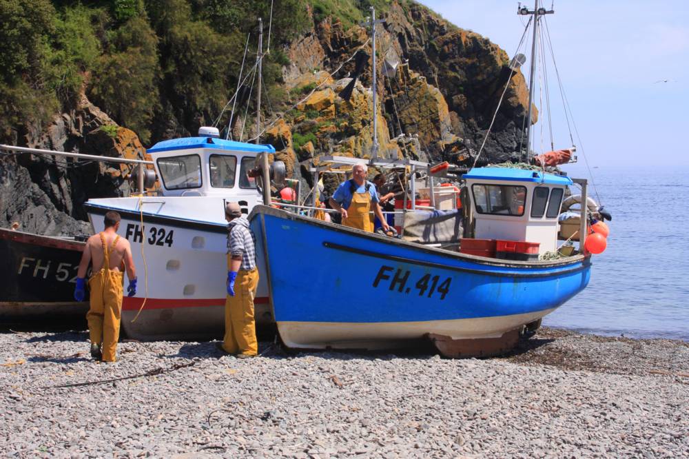 Cadgwith Mike Dodman