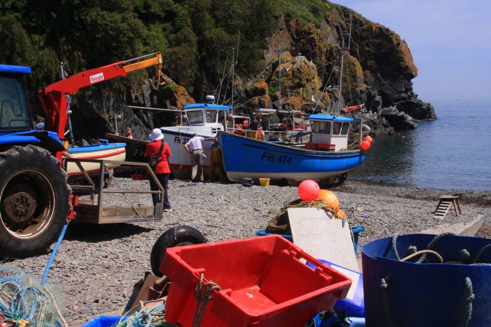 Cadgwith Mike Dodman