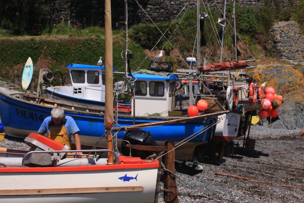 Cadgwith Mike Dodman