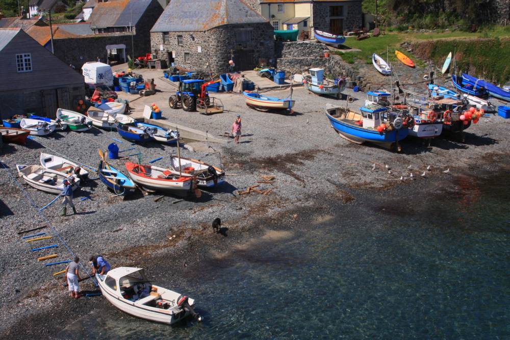 Cadgwith Mike Dodman