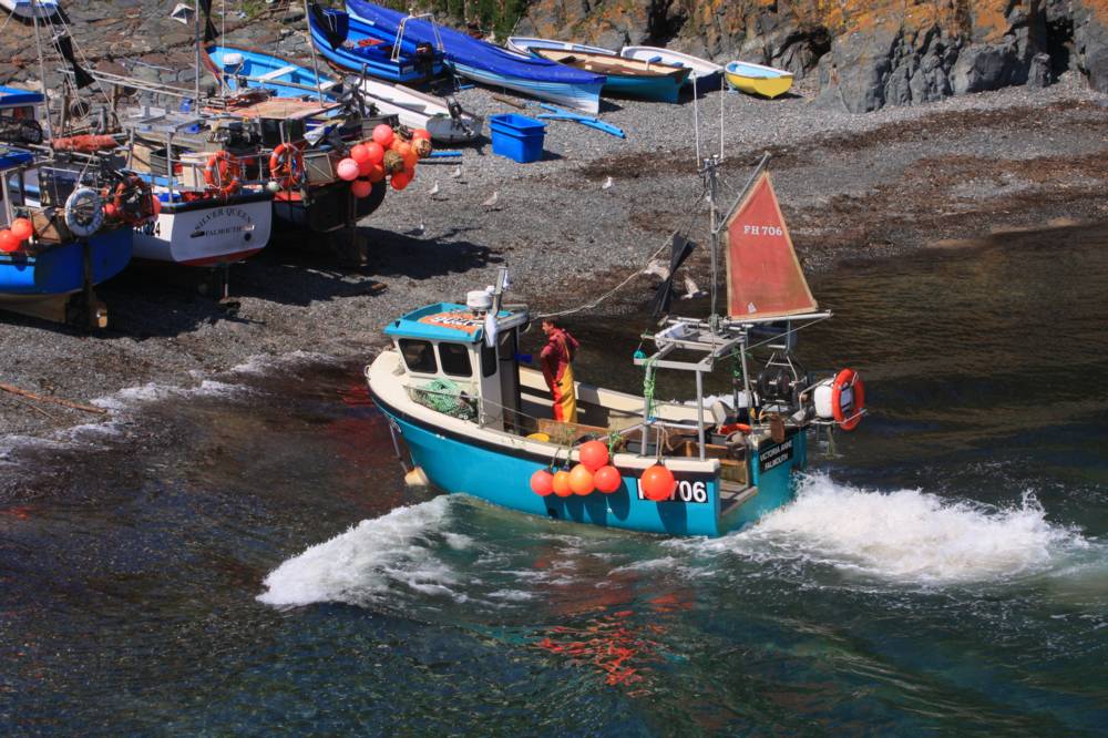 Cadgwith Mike Dodman