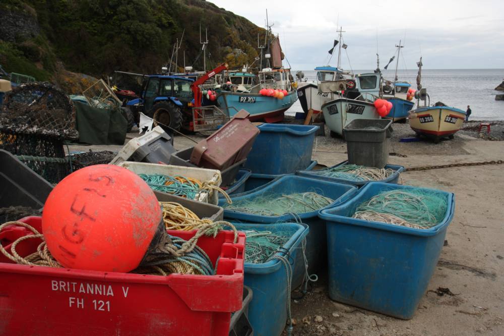 Cadgwith Mike Dodman