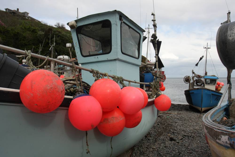 Cadgwith Mike Dodman